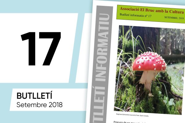 BUTLLETÍ INFORMATIU NÚMERO 17