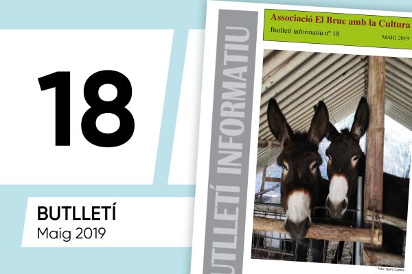 BUTLLETÍ INFORMATIU NÚMERO 18